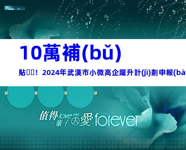 10萬補(bǔ)貼！2024年武漢市小微高企躍升計(jì)劃申報(bào)對象、程序